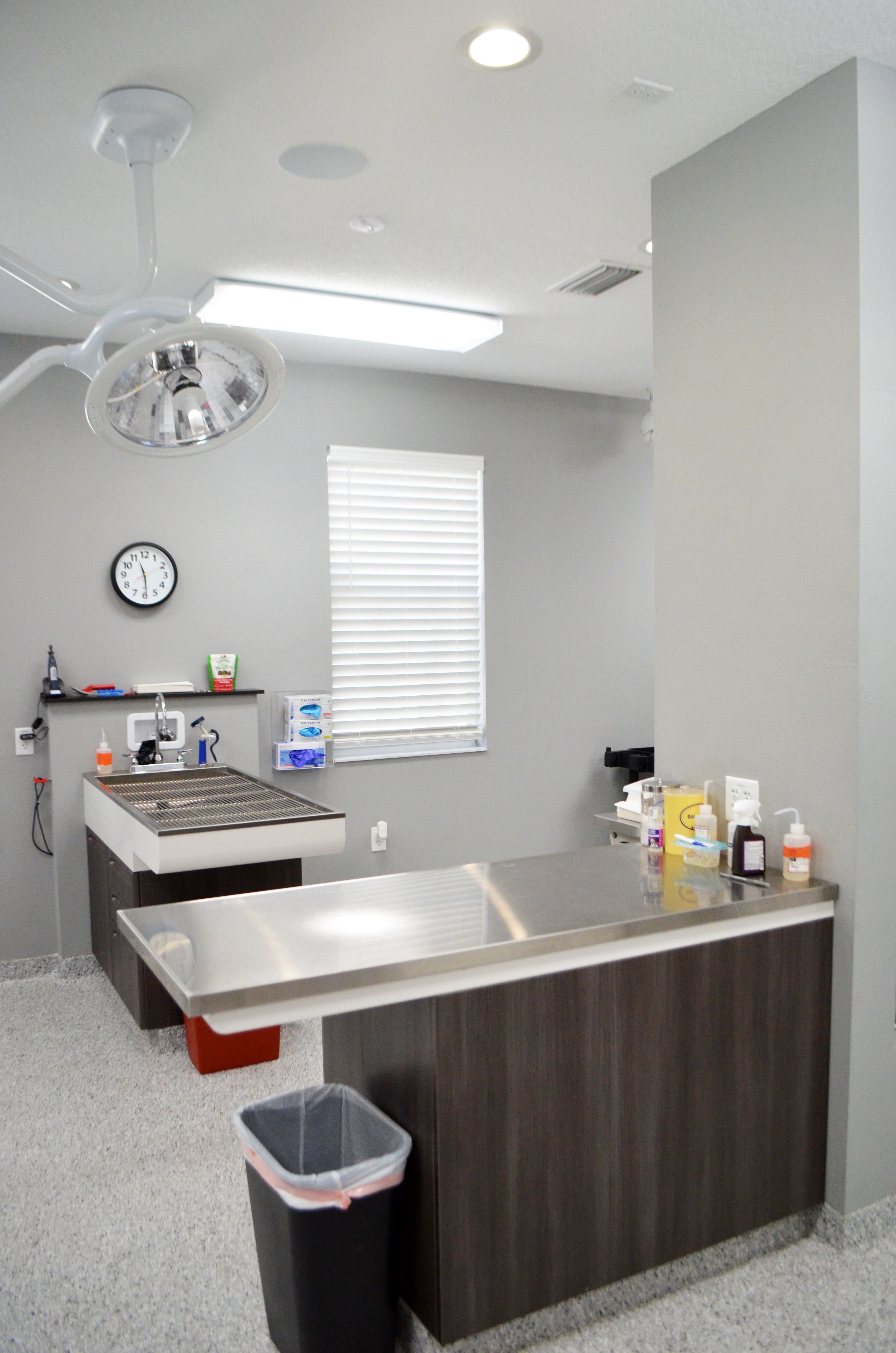 Wellness Center - Treatment Area