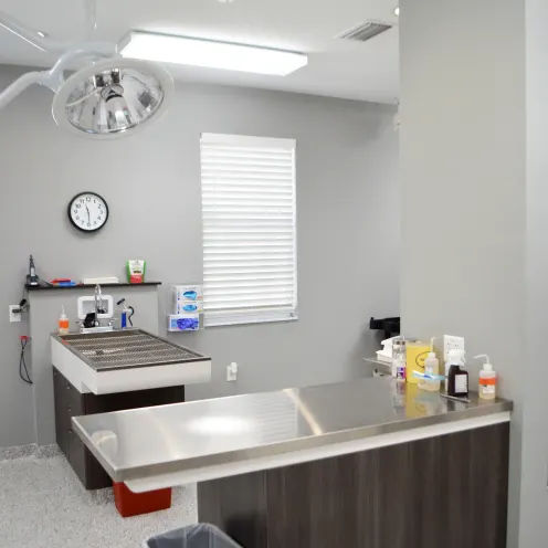 Wellness Center - Treatment Area Wellness Center - Treatment Area