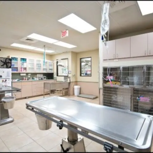 Waterford Lakes Animal Hospital Treatment Area Waterford Lakes Animal Hospital Treatment Area