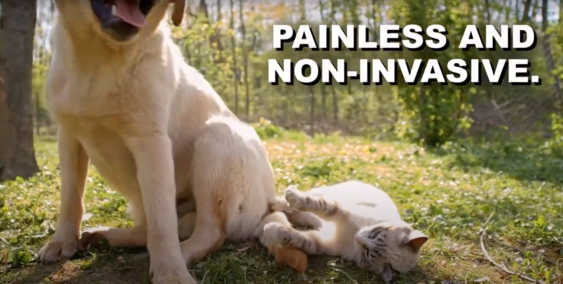 A thumbnail of ultrasound youtube video