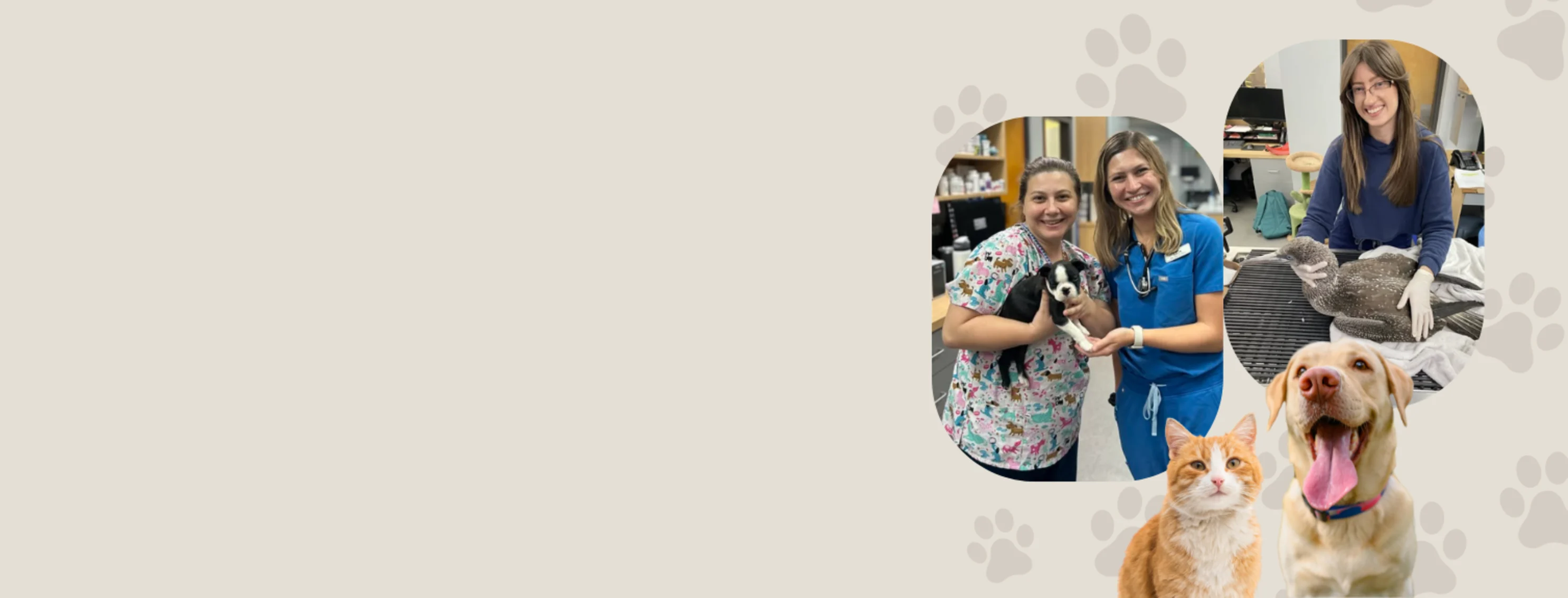 Staff Members with Dog & Bird Staff Members with Dog & Bird