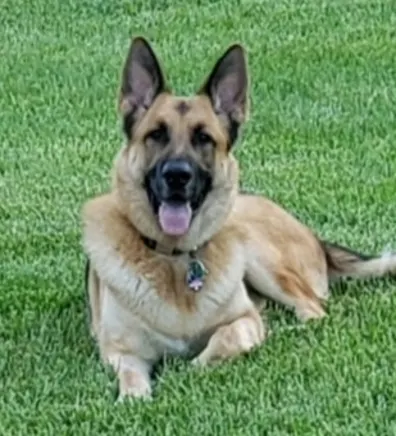 Marcie Marcie