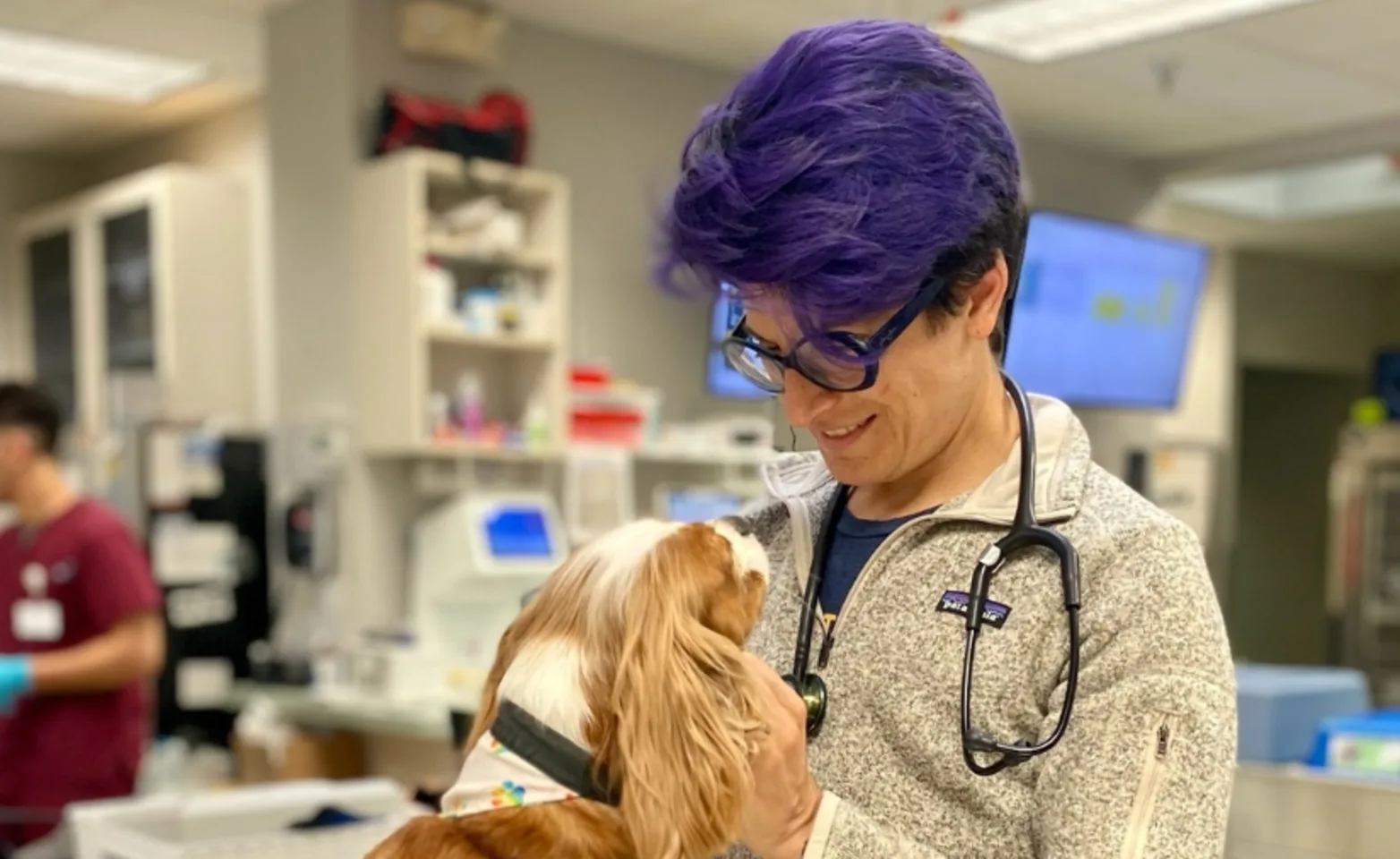 Dr. Mitterman, a DCES surgeon, examines a dog in the ICU treatment area with a smile.