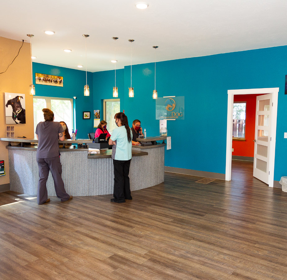 Two staff members standing at the reception desk
