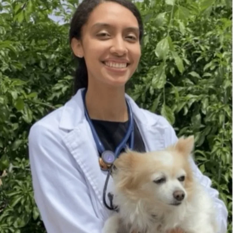 Dr. Shoshanna Lee Dr. Shoshanna Lee