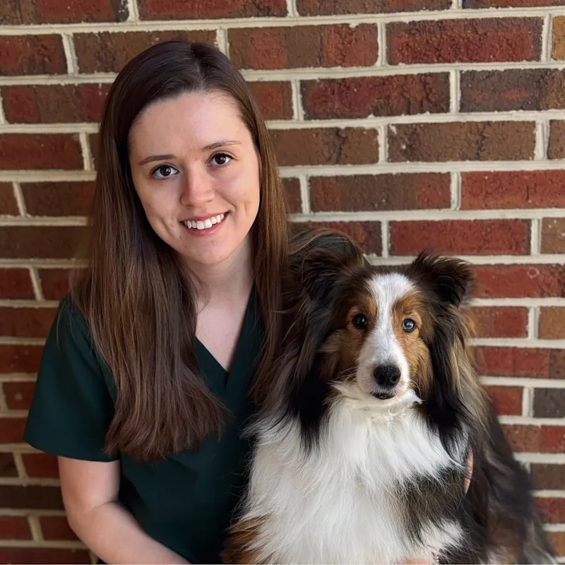 Taylor Freeland Taylor Freeland