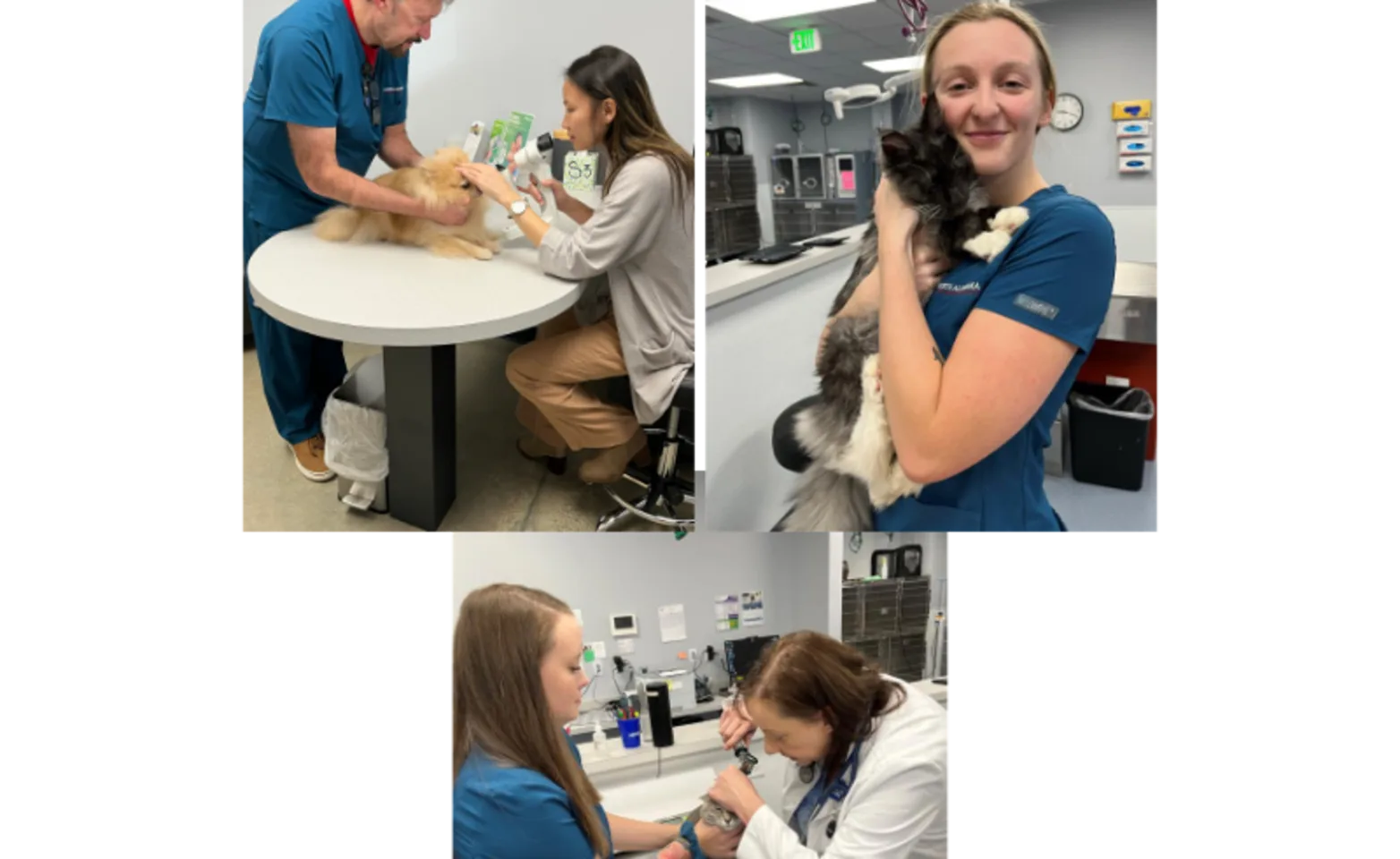 North Alabama Veterinary Emergency & Specialty Staff Collage Picture North Alabama Veterinary Emergency & Specialty Staff Collage Picture