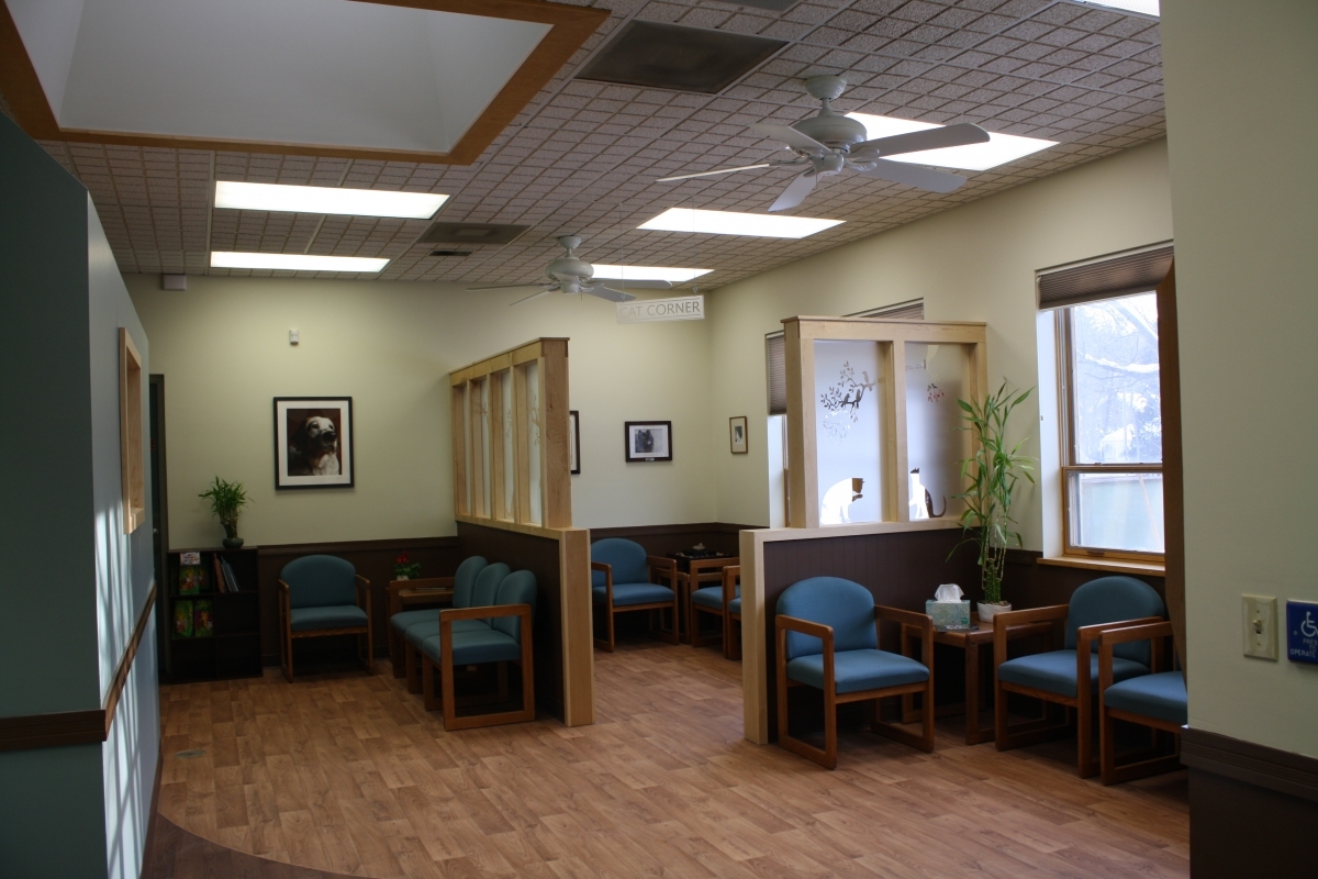 Cat corner with chairs inside of Northampton Veterinary Clinic
