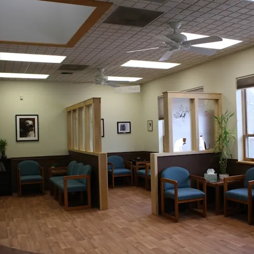 Cat corner with chairs inside of Northampton Veterinary Clinic Cat corner with chairs inside of Northampton Veterinary Clinic