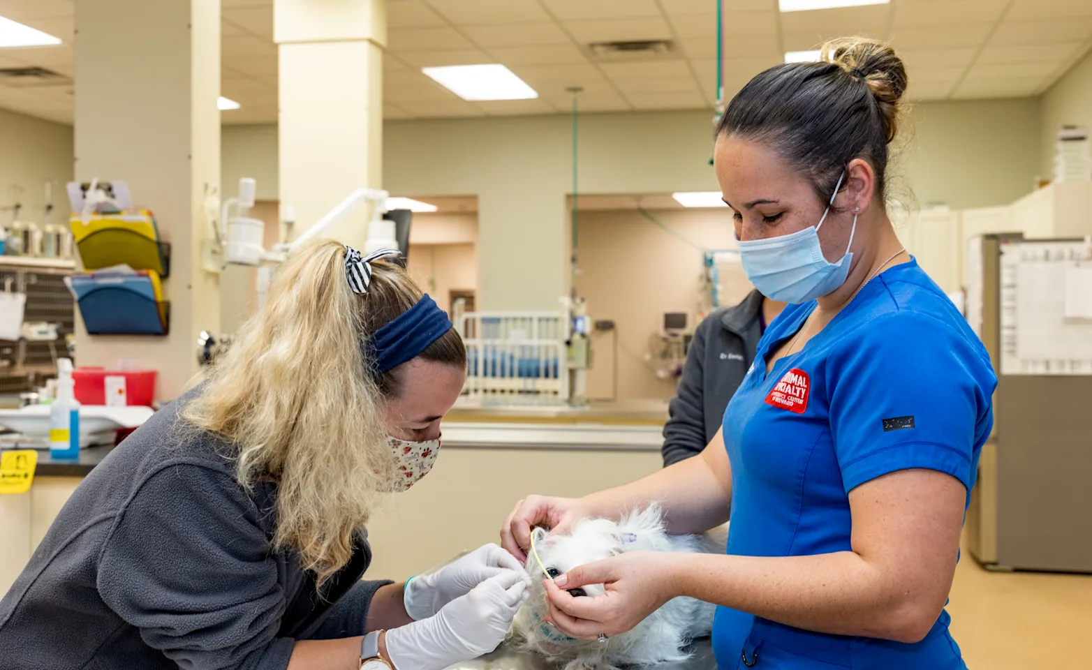 Animal Specialty & Emergency Center of Brevard Staff with Dog Party Animal Specialty & Emergency Center of Brevard Staff with Dog Party