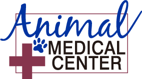 Veterinarian | Animal Medical Center of Hattiesburg