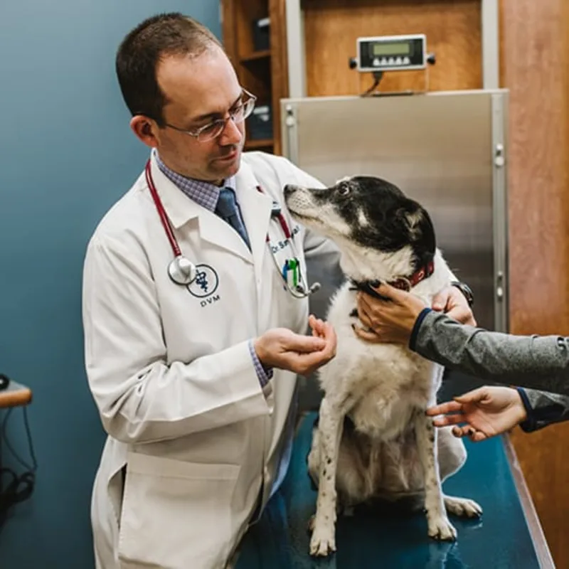 Dr. Sam Kimball Dr. Sam Kimball