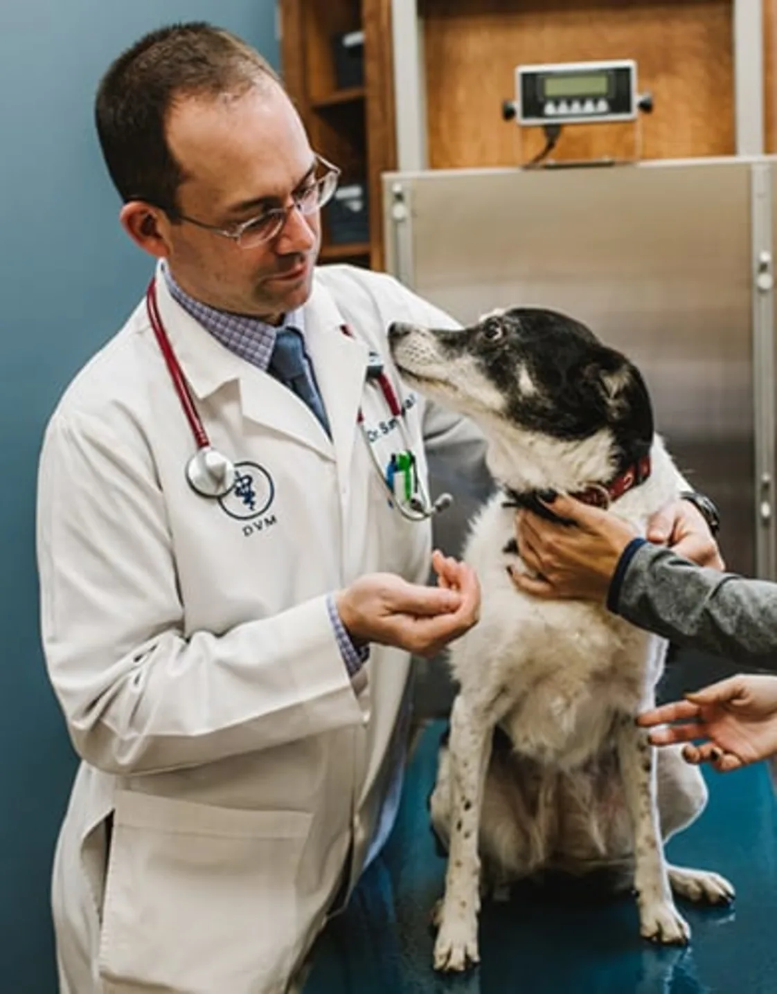 Dr. Sam Kimball Dr. Sam Kimball