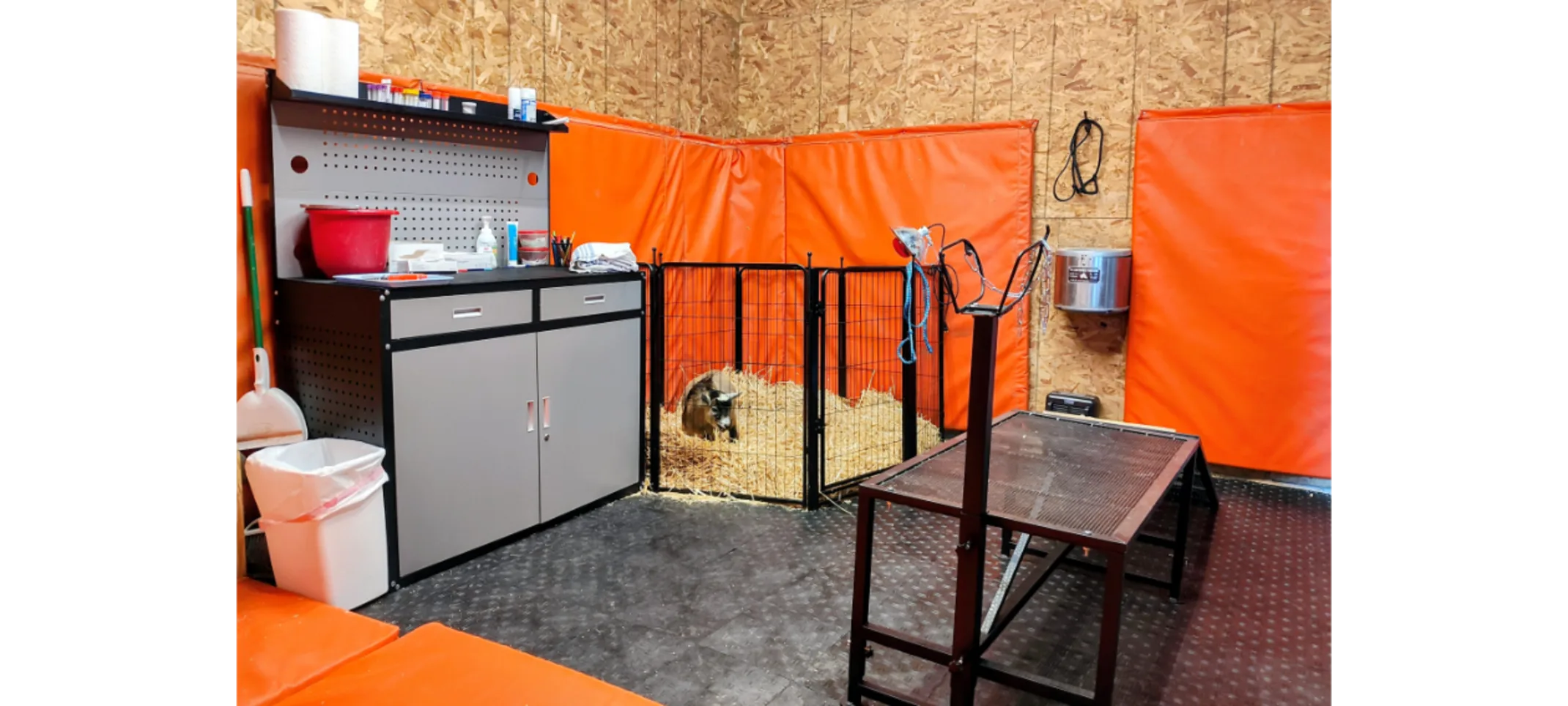Goat & Sheep Room Goat & Sheep Room