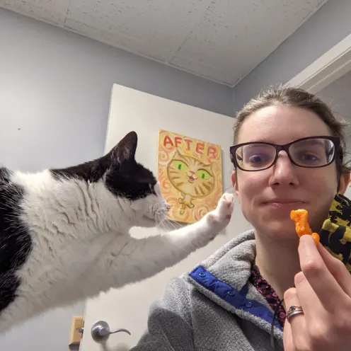 Cat trying to eat a cheeto