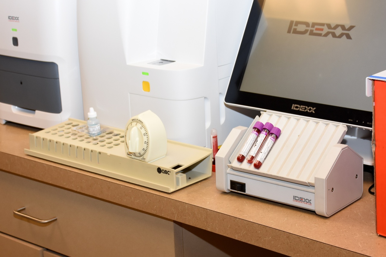 Bloodwork in our Lab station