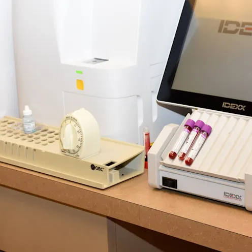 Bloodwork in our Lab station Bloodwork in our Lab station