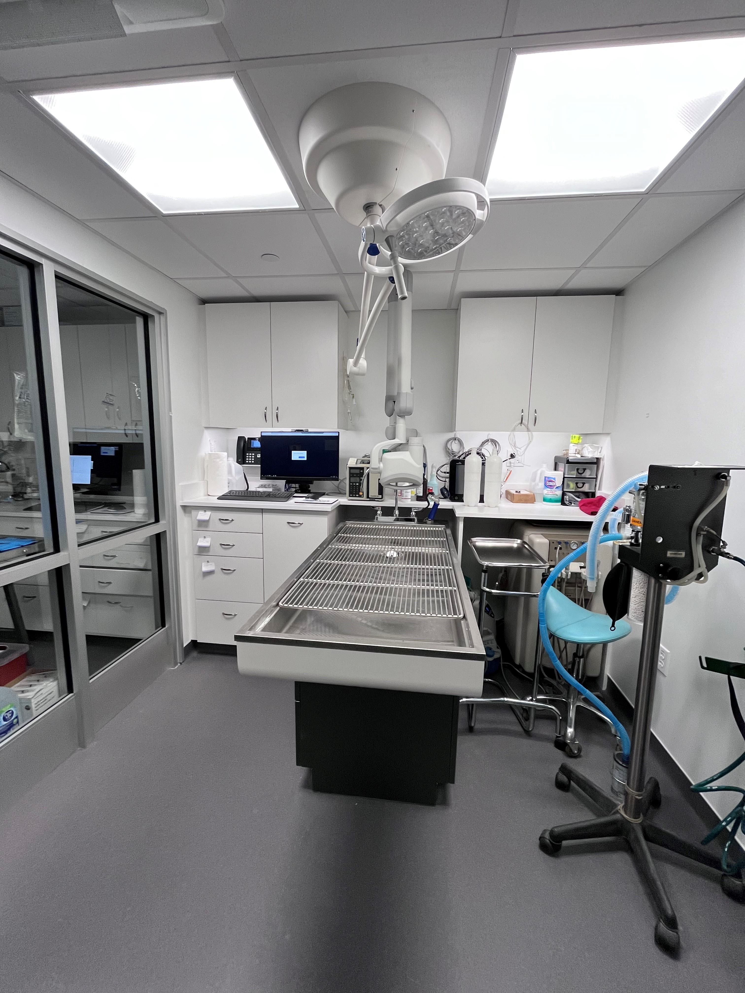 Riverside Animal Hospital South's Exam room which features everything needed to ensure proper care for your pet 