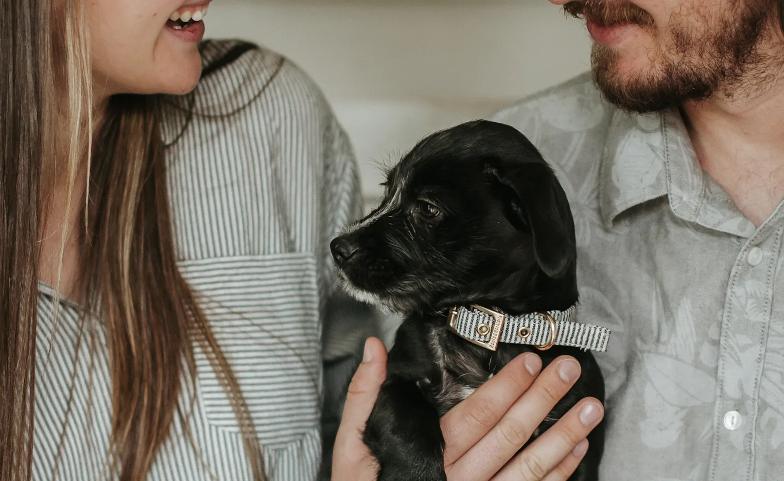 woman and mad holding puppy woman and mad holding puppy