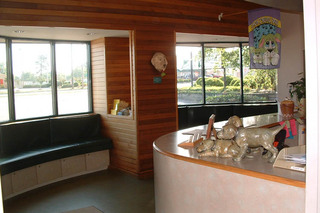 Cape Fear Animal Hospital seating in lobby