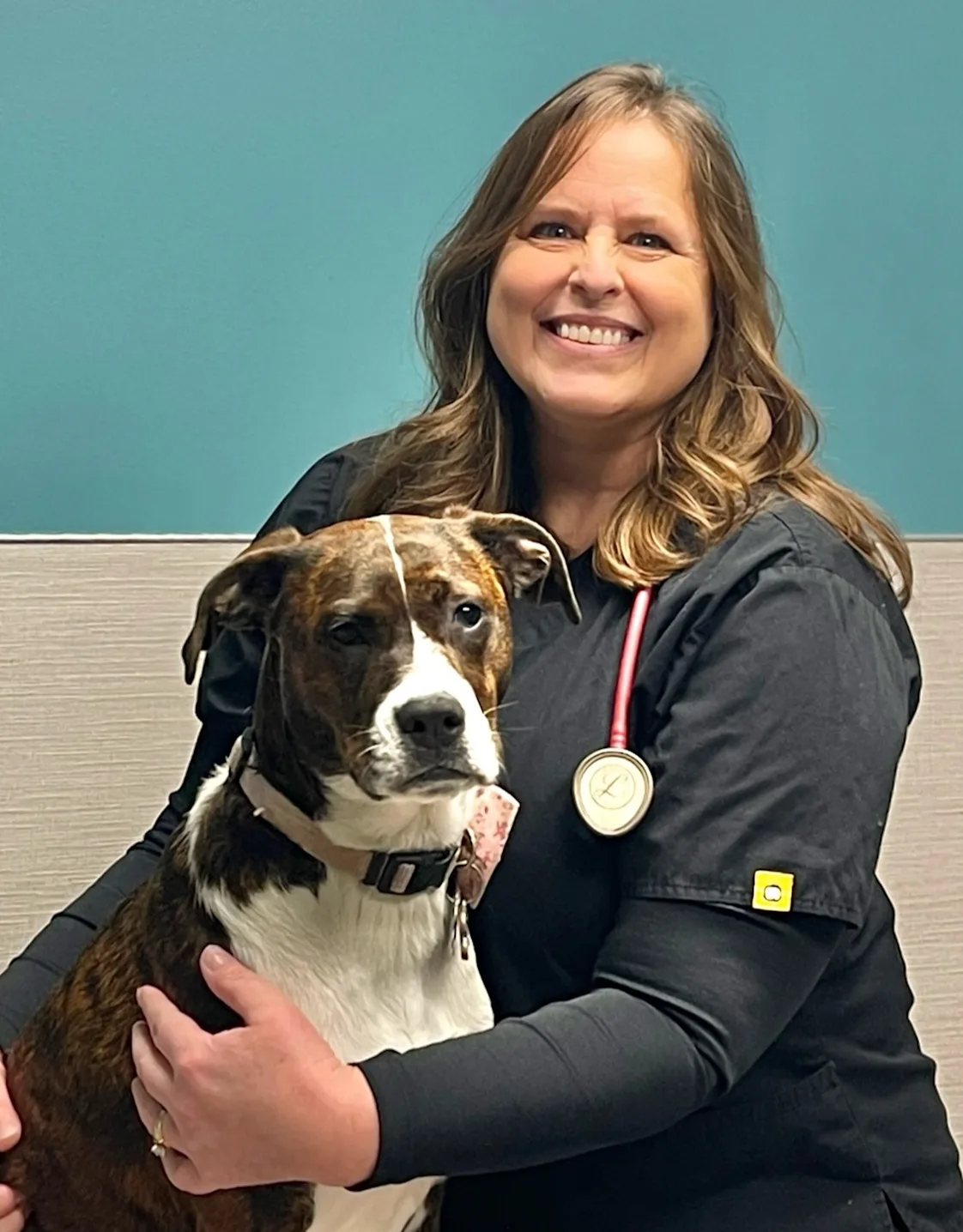 Dr. Mari Feder, veterinarian in St. Peter and Le Centre, MN Dr. Mari Feder, veterinarian in St. Peter and Le Centre, MN