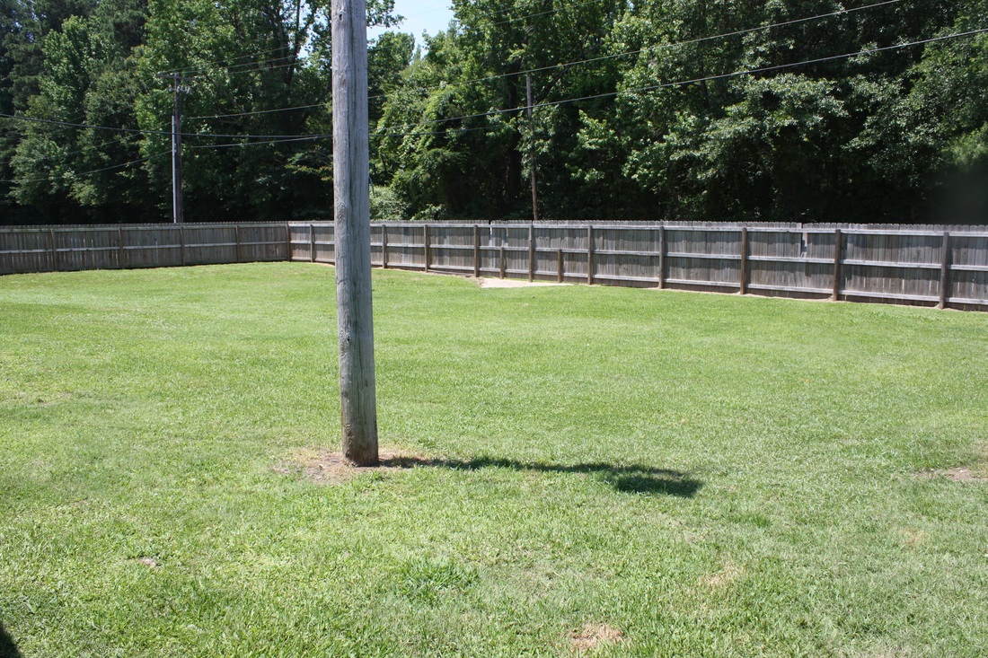 Westridge Animal Hospital Outdoor Area