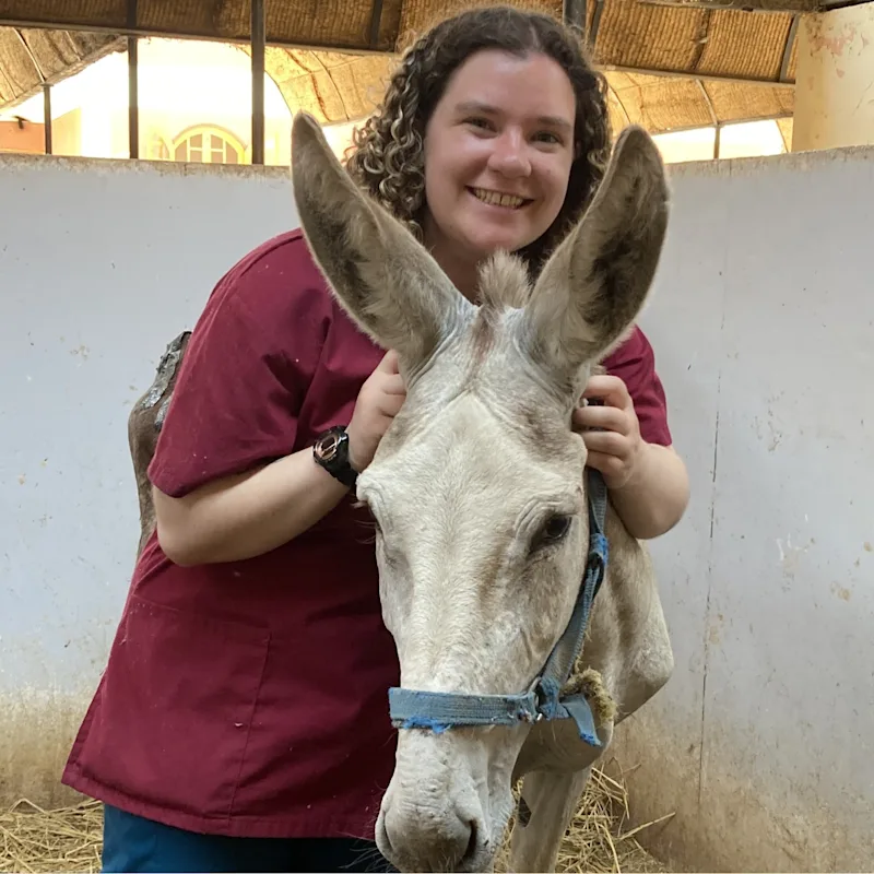 Dr. Ollie Landauer Dr. Ollie Landauer