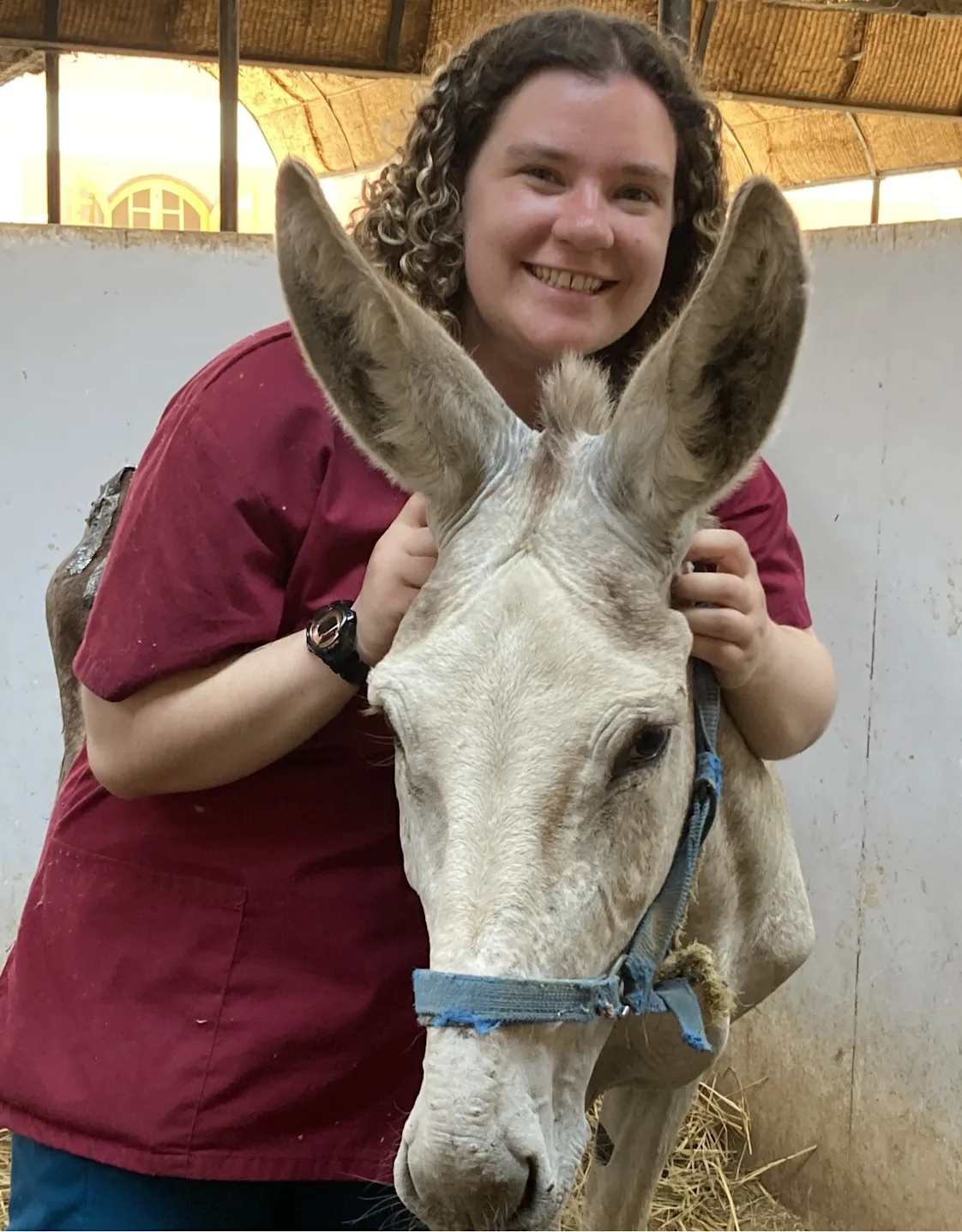 Dr. Ollie Landauer Dr. Ollie Landauer