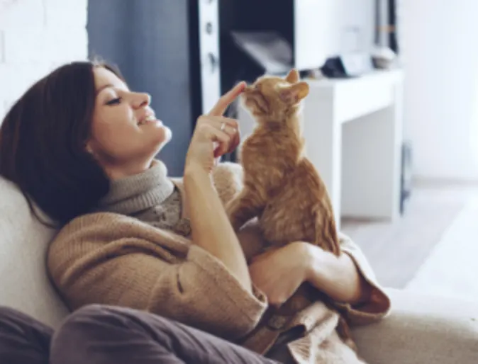 Woman Playing with Orange Cat Woman Playing with Orange Cat