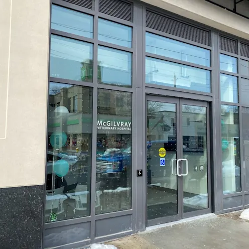 Front of McGilvray Veterinary Hospital. Front of McGilvray Veterinary Hospital.