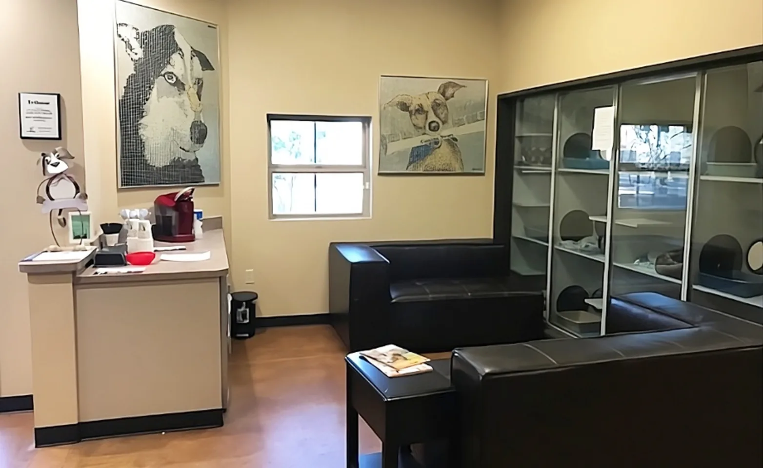 The cat lodging area near the waiting room of Ocotillo Animal Clinic & Pet Resort