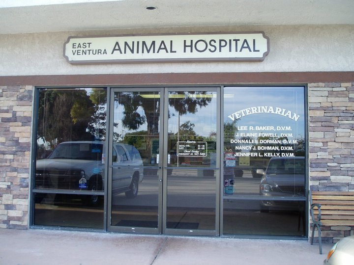 About Us East Ventura Animal Hospital   Front Entrance