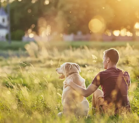 Dog and owner sitting in grassy field