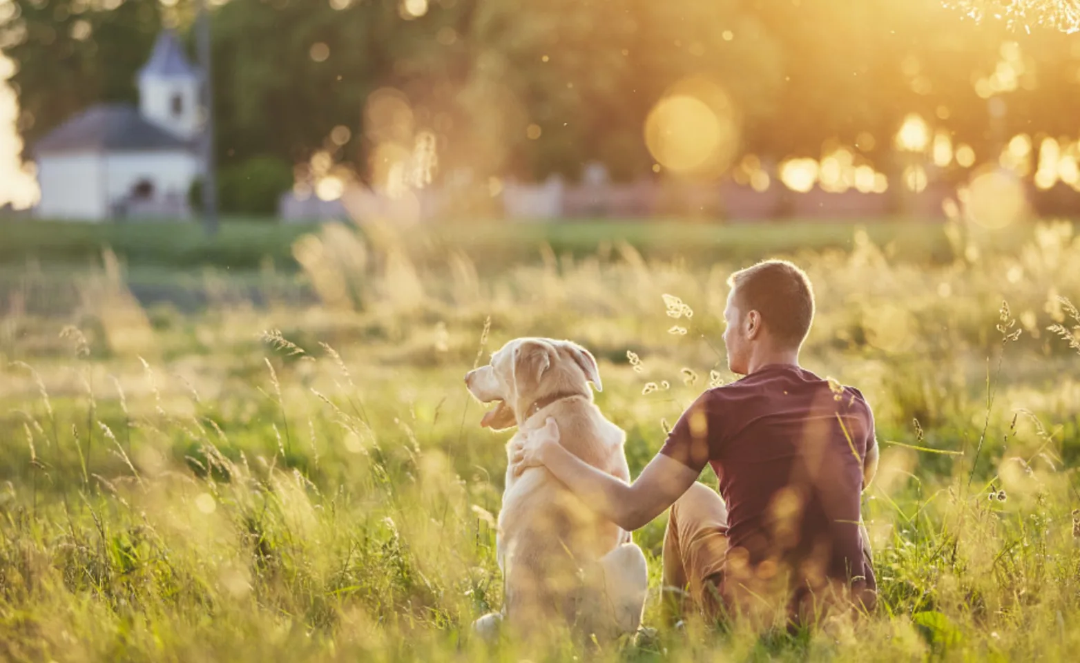 Dog and owner sitting in grassy field