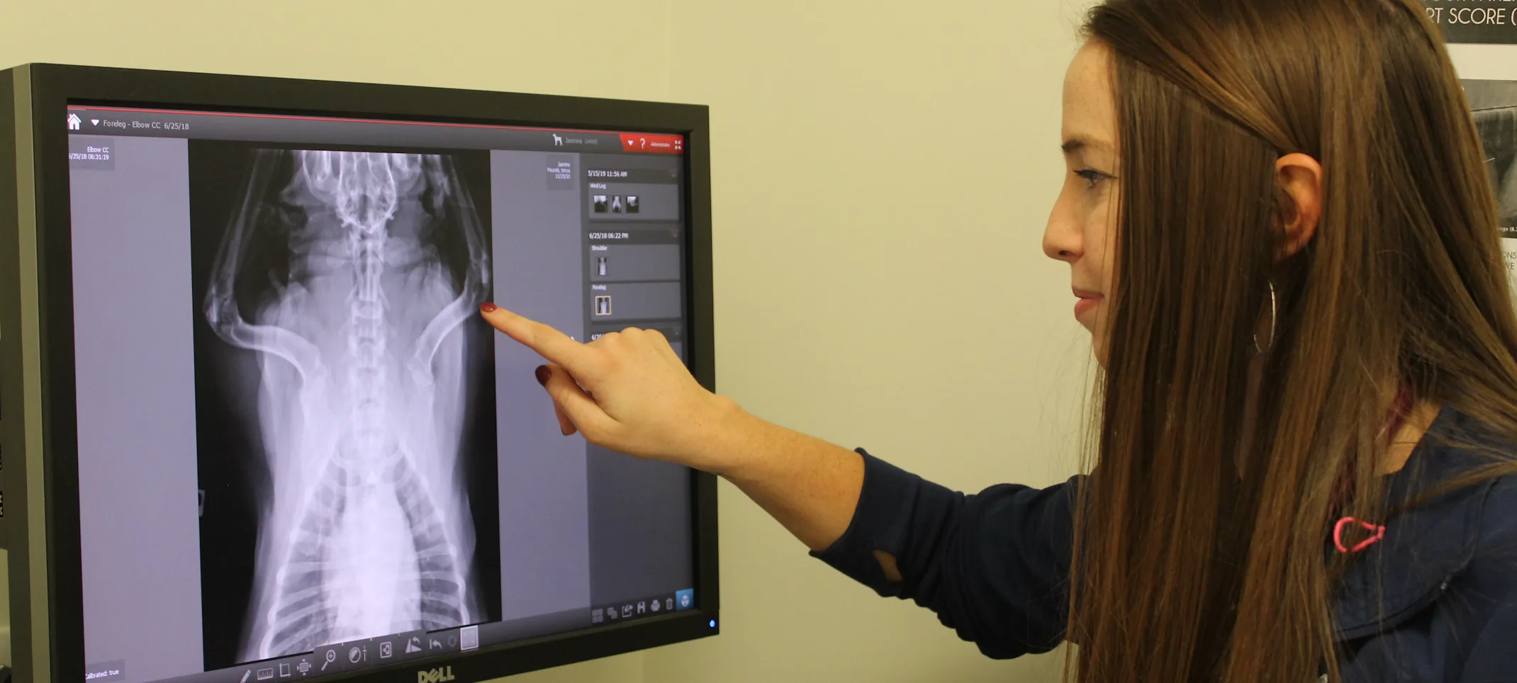 Radiology Radiology