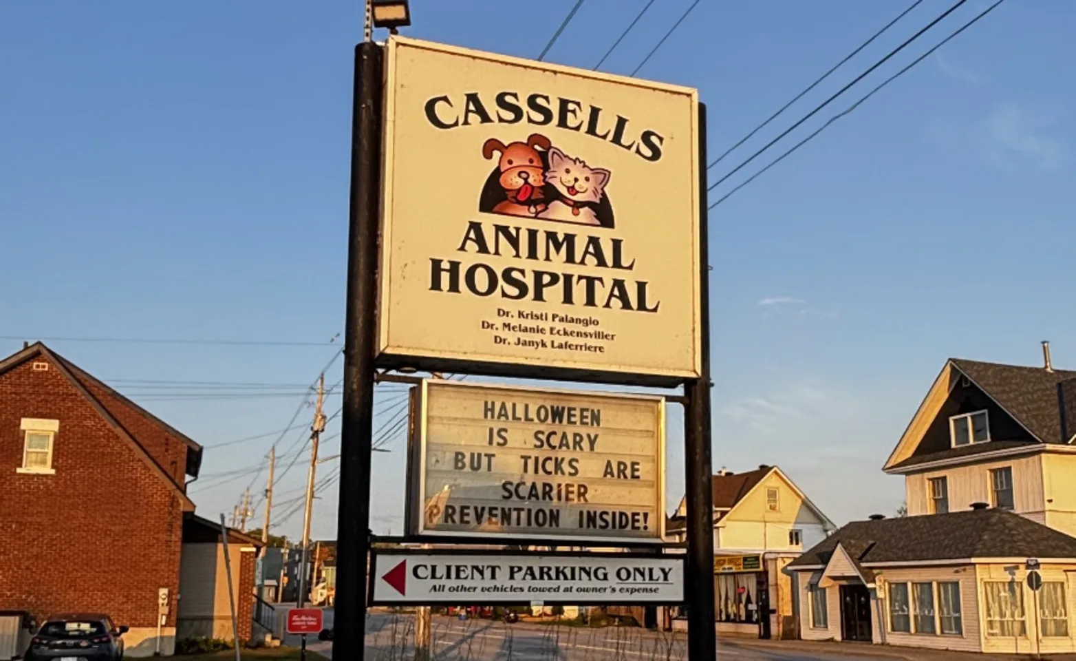 Cassells Animal Hospital Clinic Sign Cassells Animal Hospital Clinic Sign