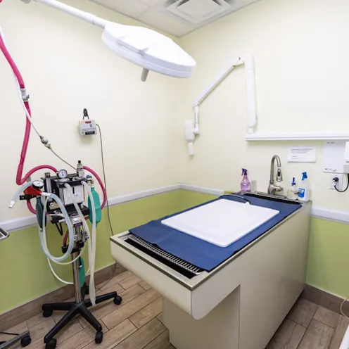 Exam Table Exam Table