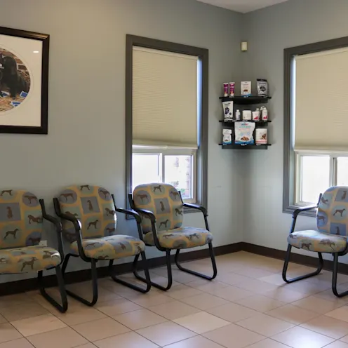 Waiting Area Waiting Area