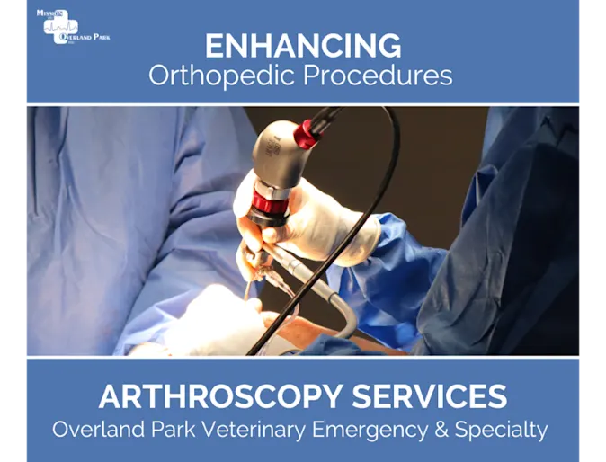Arthroscopy Services at OPVES Arthroscopy Services at OPVES