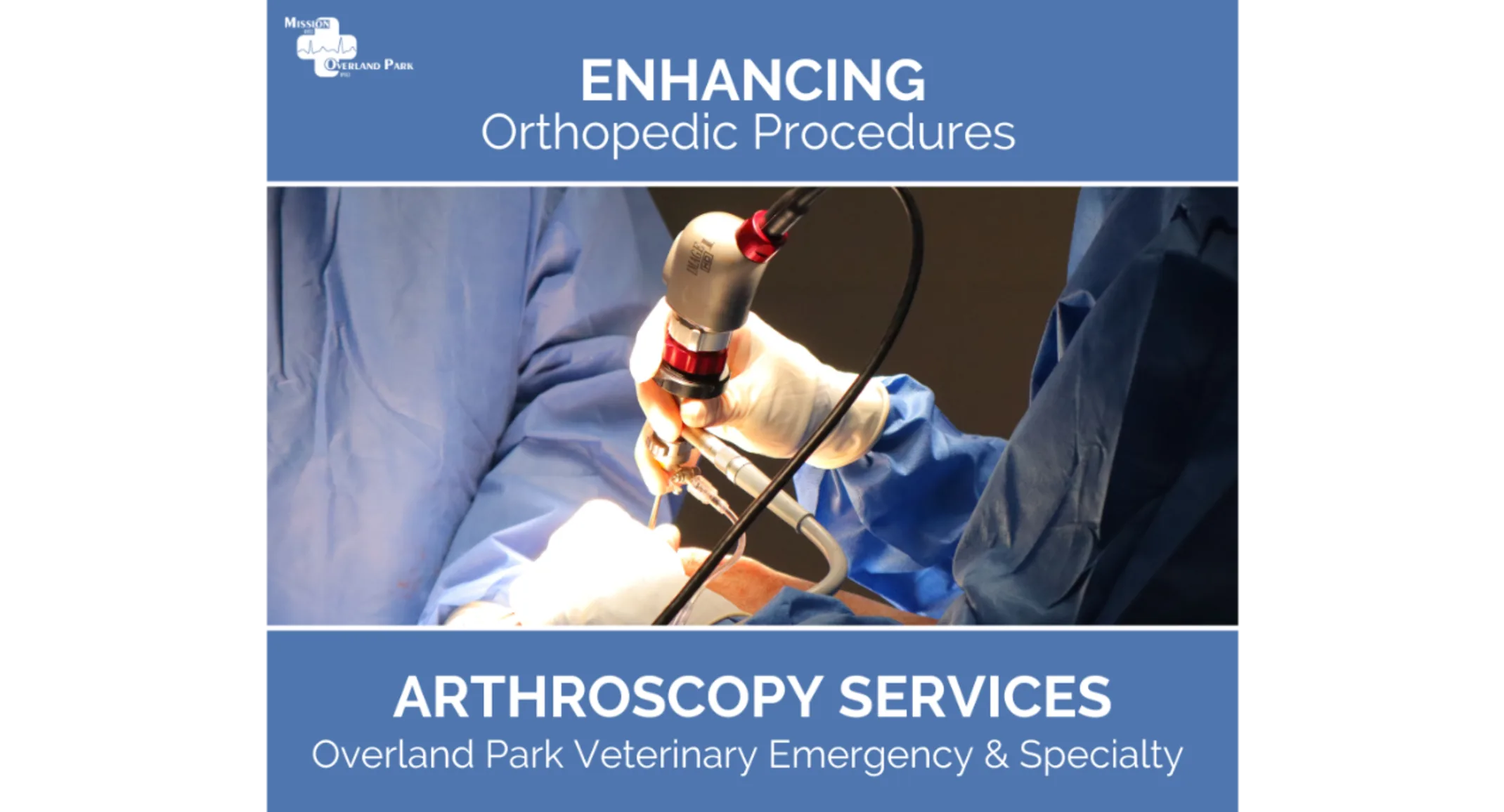 Arthroscopy Services at OPVES Arthroscopy Services at OPVES