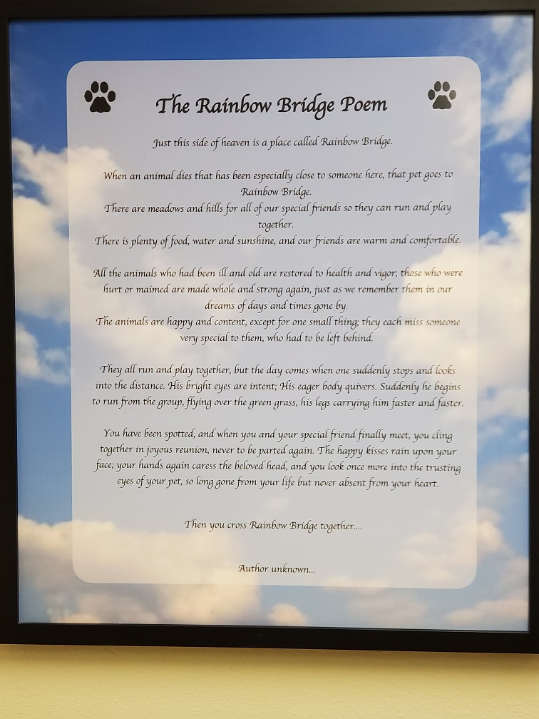 The Rainbow Bridge Poem