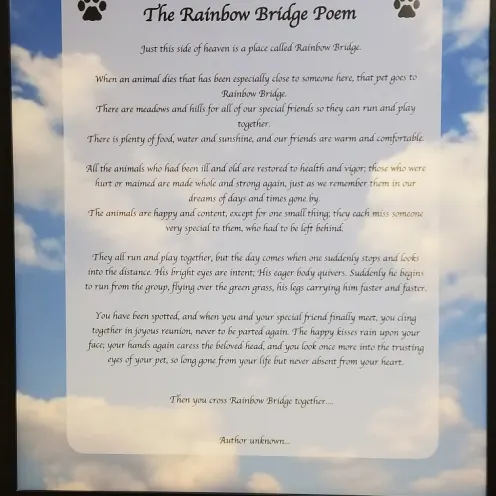 The Rainbow Bridge Poem