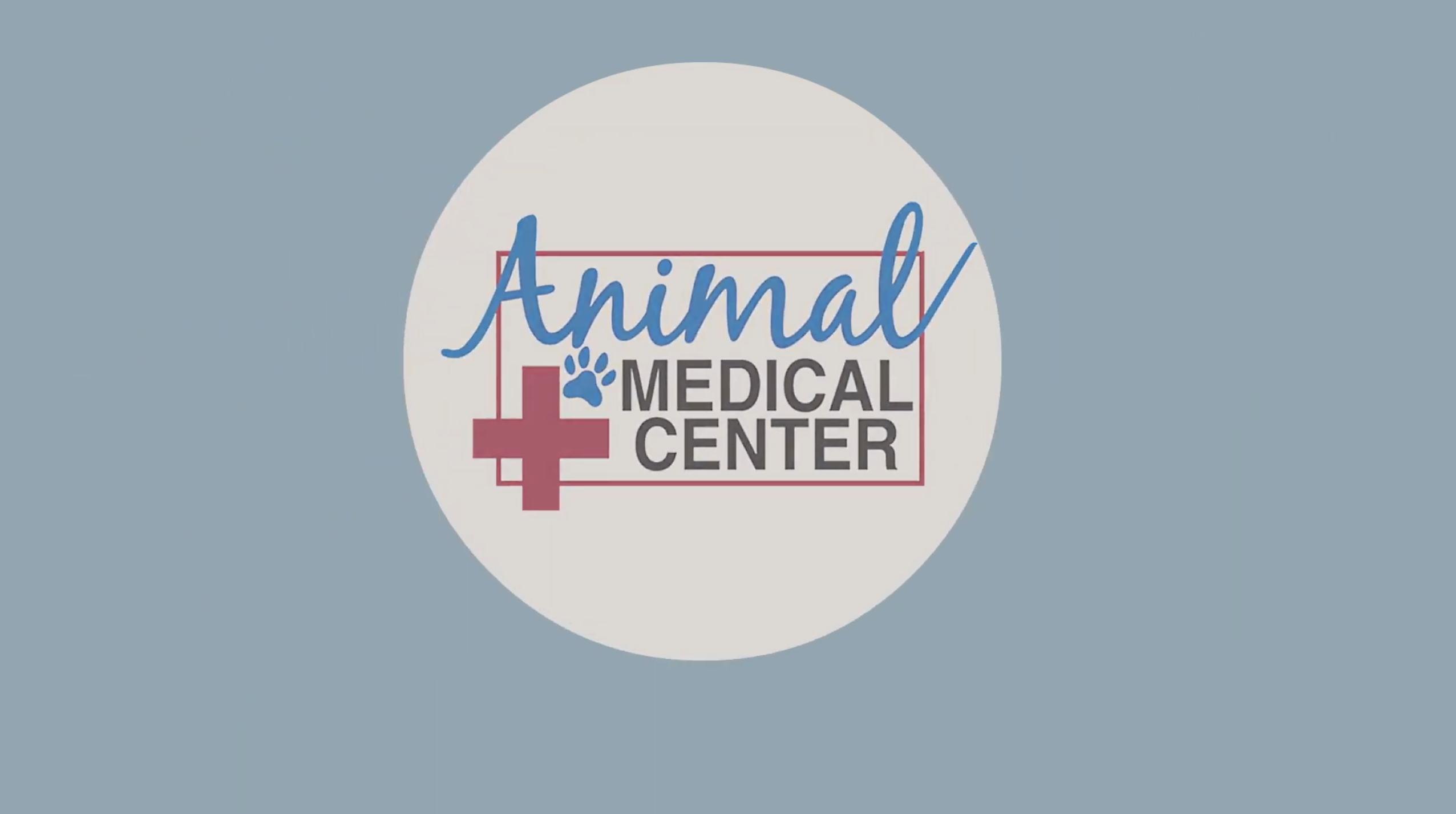 Dr. Scott YouTube video screenshot