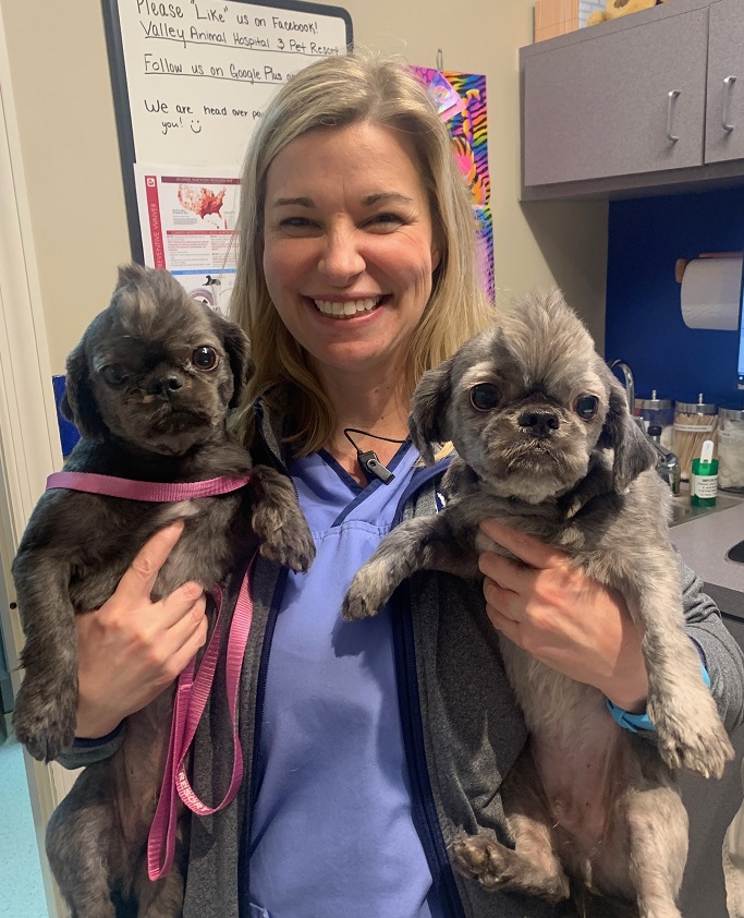 Staff member posing with two dogs