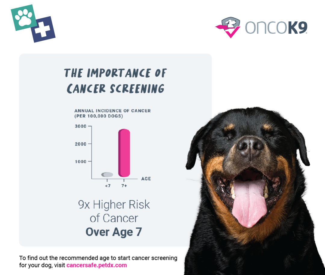 A graphic featuring a yawning dog on the right, and to the left, a graph showing the correlation of cancer in dogs under the age of 7 versus over the age of 7 with the text, "The Importance of Cancer Screening - 9x higher risk of cancer over age 7"