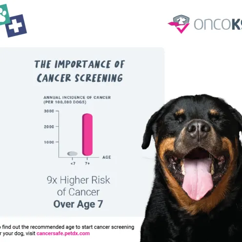 A graphic featuring a yawning dog on the right, and to the left, a graph showing the correlation of cancer in dogs under the age of 7 versus over the age of 7 with the text, "The Importance of Cancer Screening - 9x higher risk of cancer over age 7"