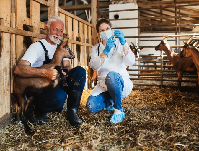 Farmer and vet holding goat