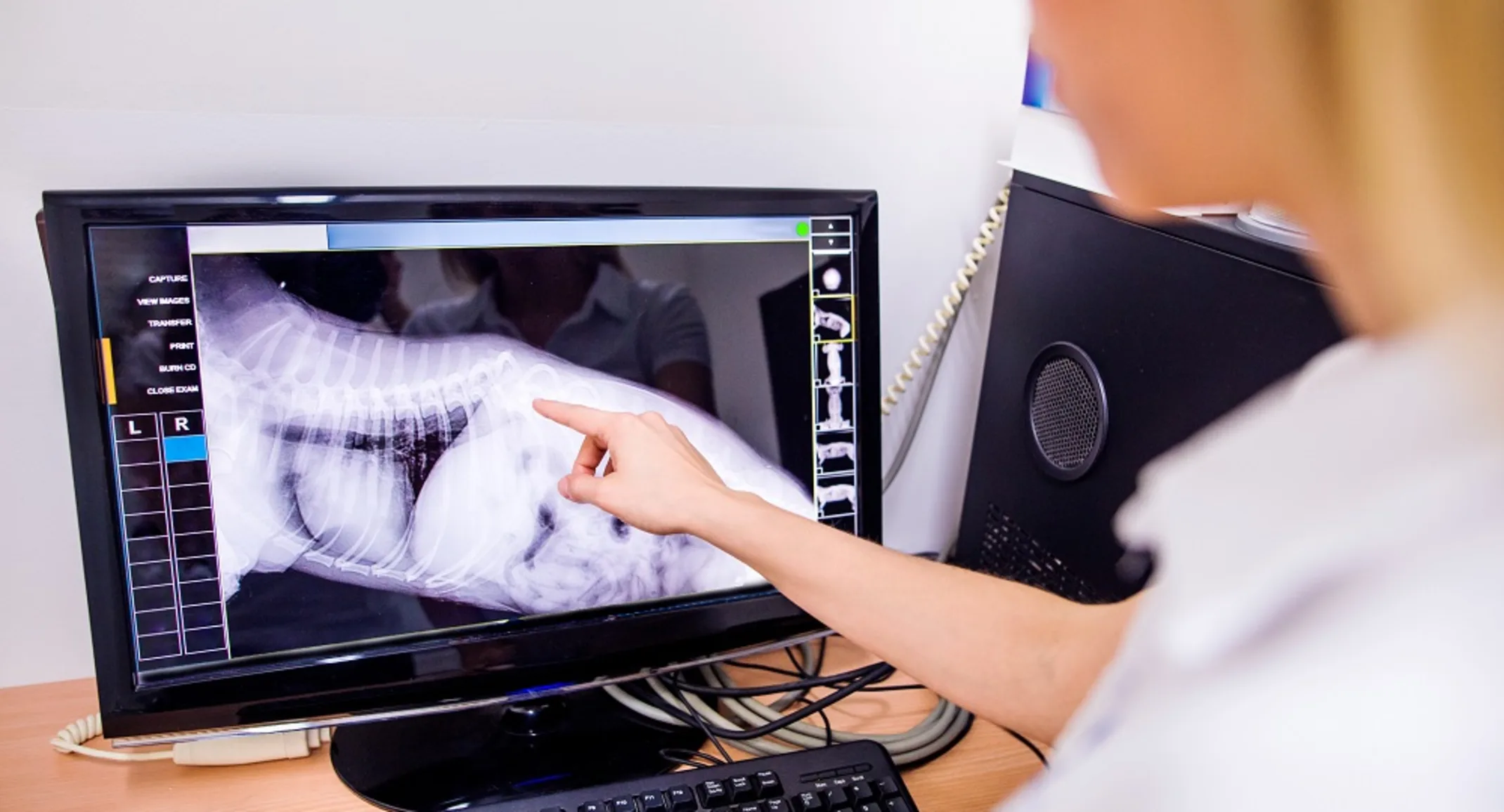 Vet with X-ray Vet with X-ray