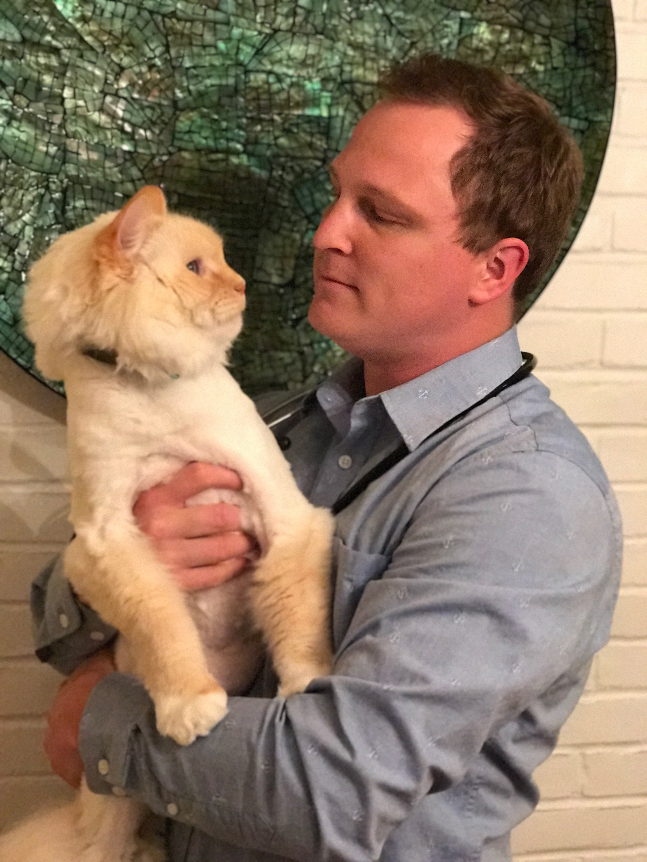 Dr. Coffman holding a partially shaved cat