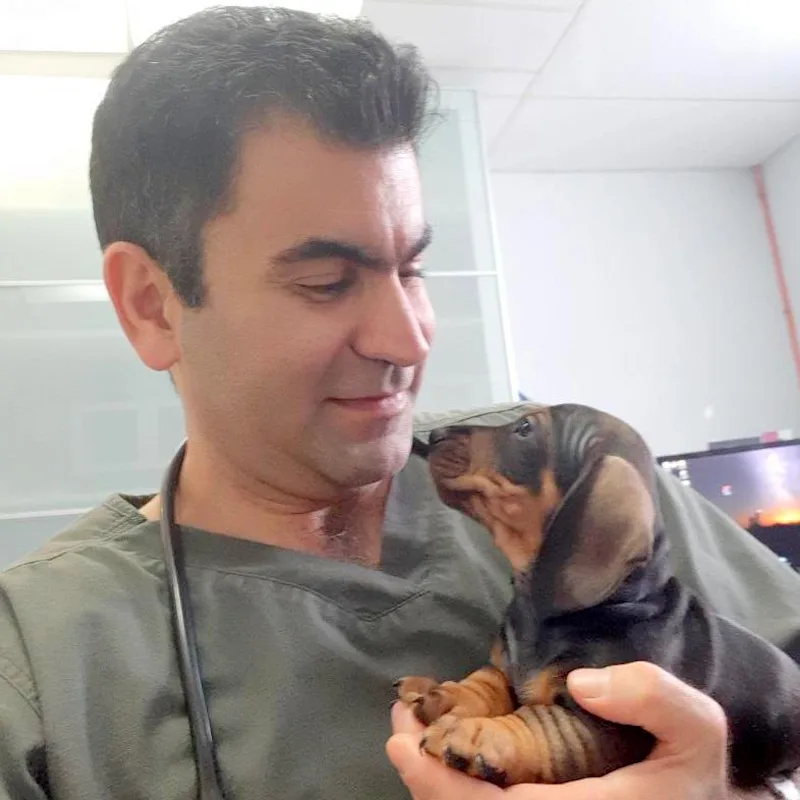 Dr. Aidin Shojaeetabrizi Dr. Aidin Shojaeetabrizi